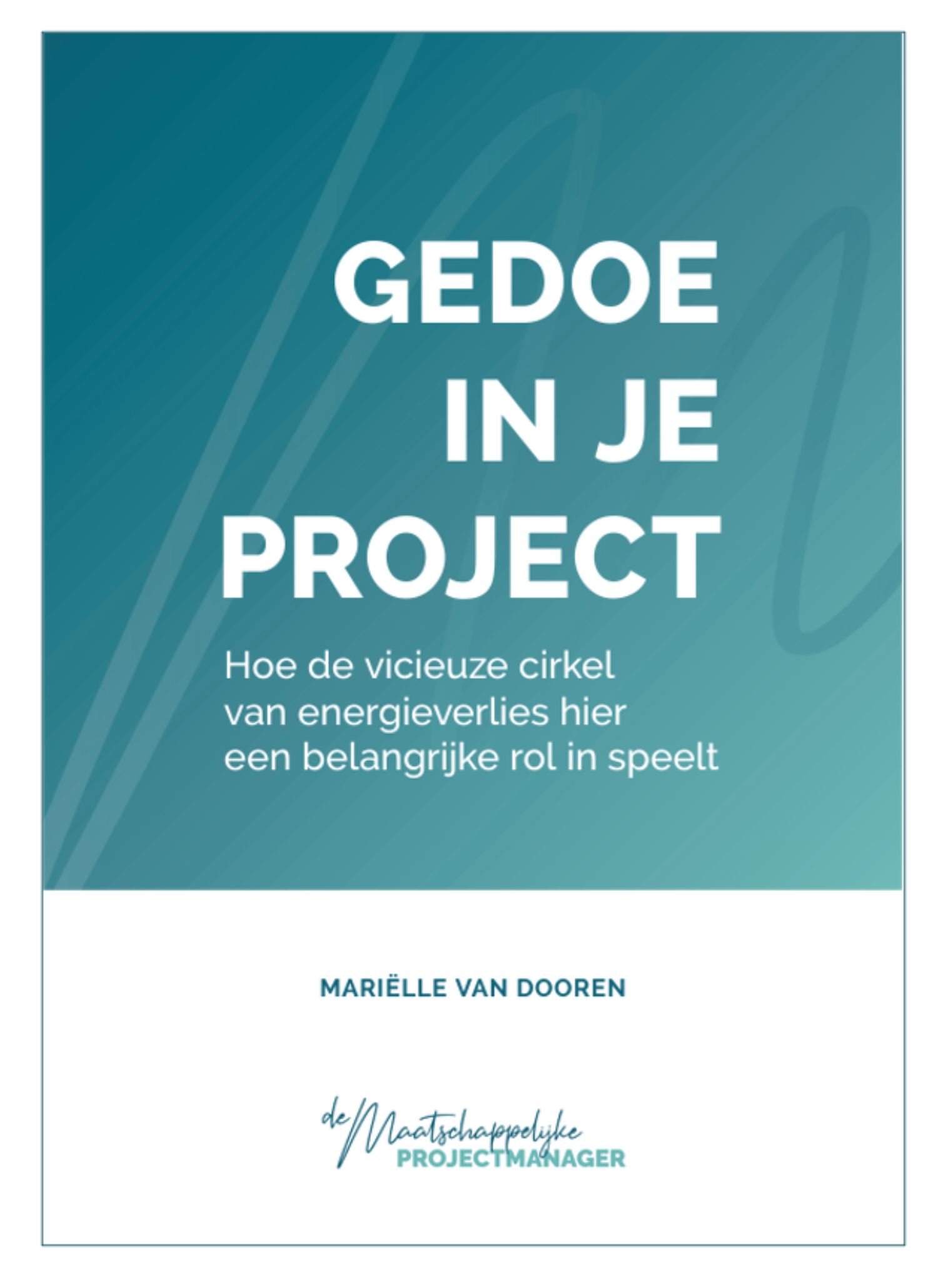Voorpagina E-book Voorpagina e-book 'gedoe in je project'